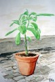 Thumbs/tn_IMG_1667.jpg